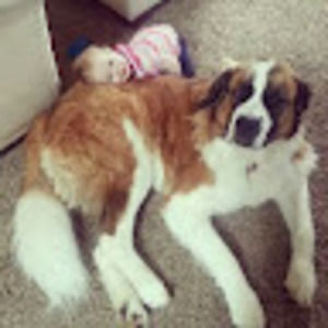 Meet your Posher, Becky